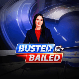 Busted or Bailed game thumbnail
